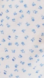 Fabienne Mini Dress - White / Blue Floral