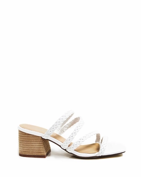 Ilex White *FINAL SALE*