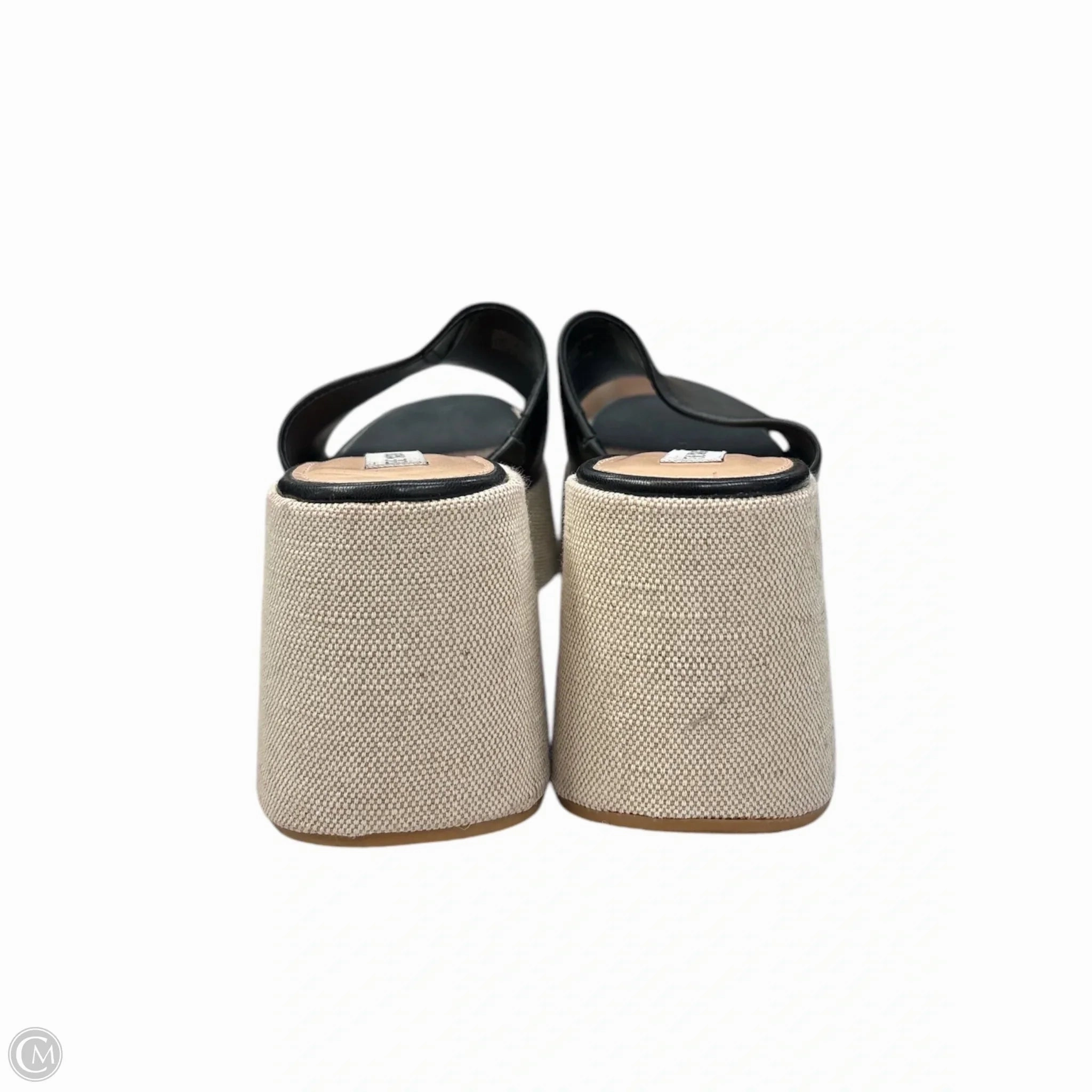 Sandals Heels Wedge By Steve Madden In Black & Cream, Size: 11