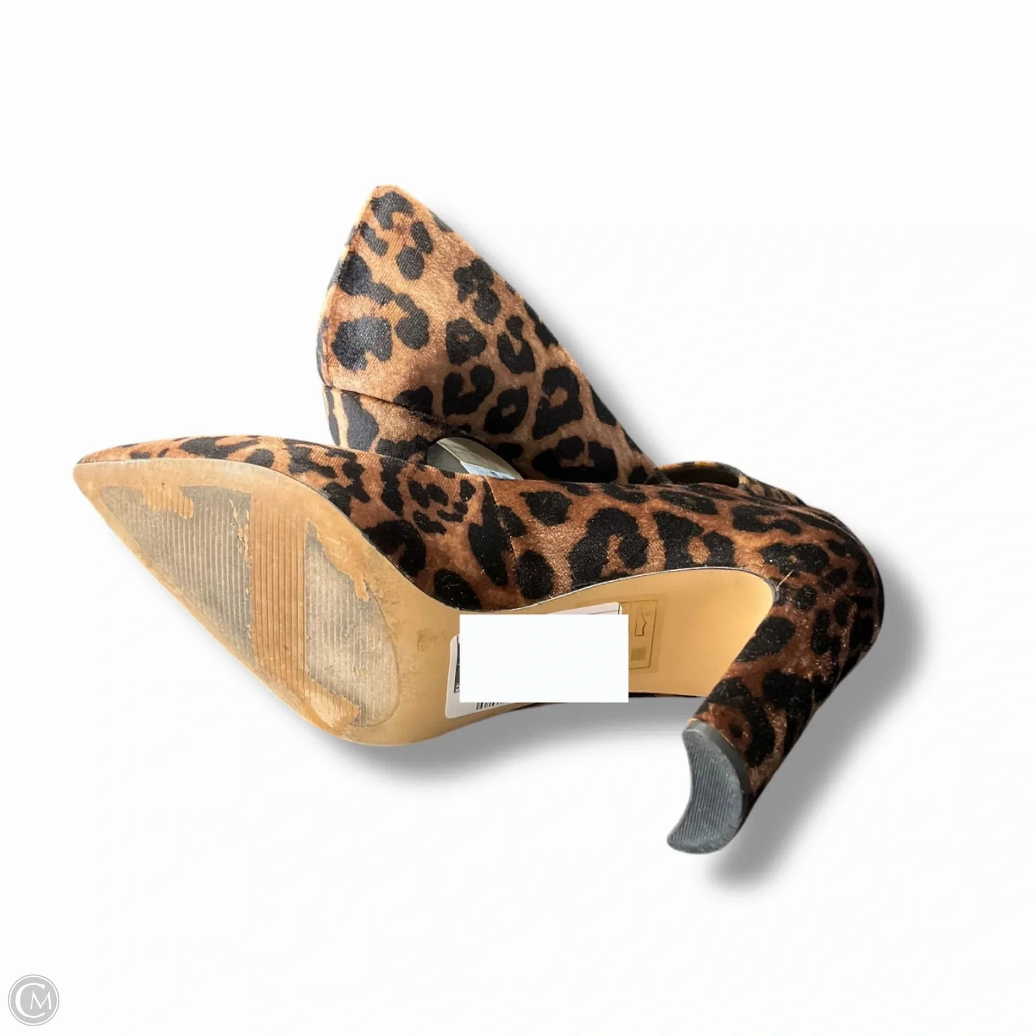Shoes Heels Stiletto By Aldo In Animal Print, Size: 9