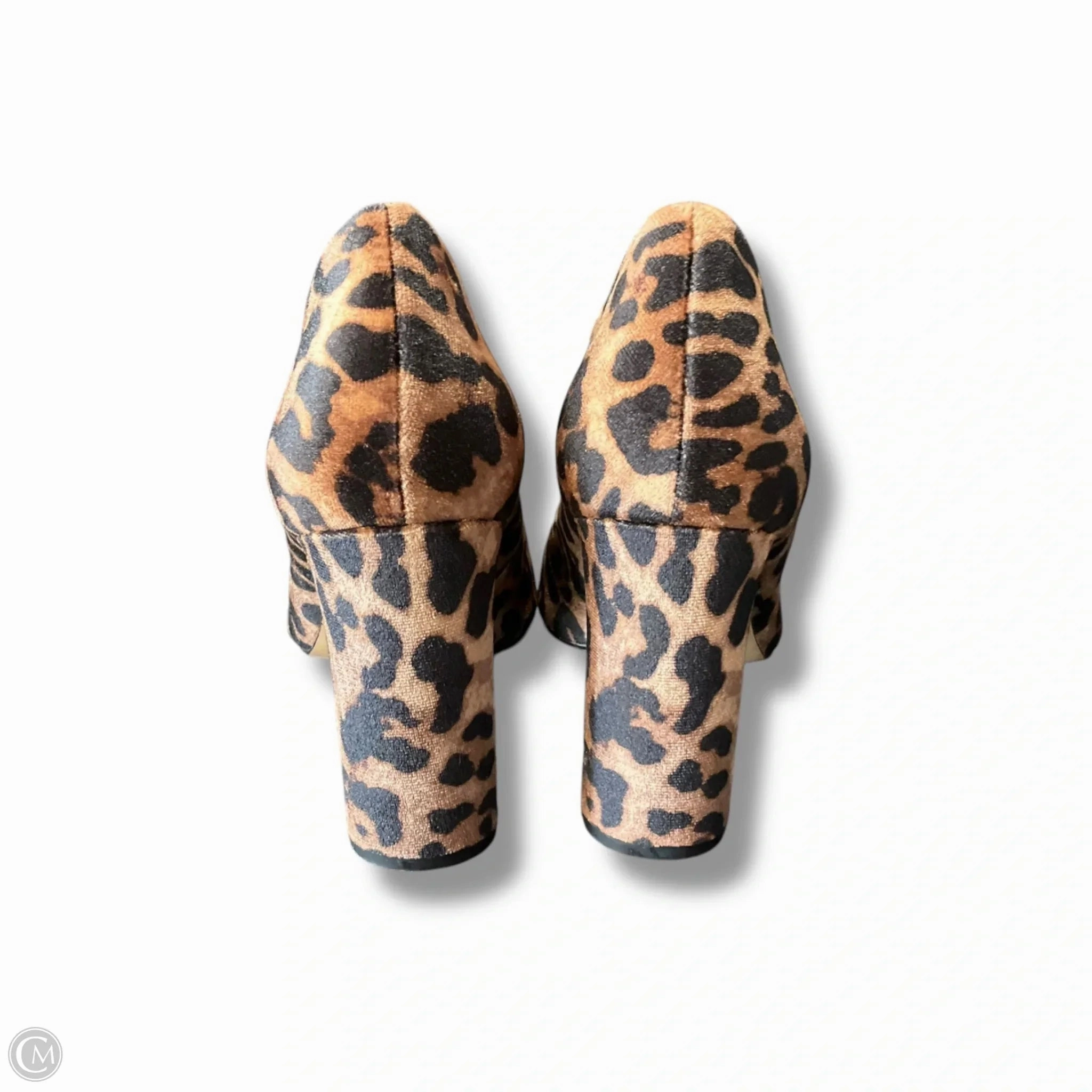 Shoes Heels Stiletto By Aldo In Animal Print, Size: 9
